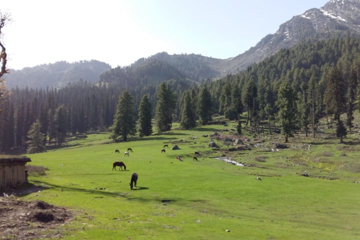 Berglandschaft in Aru, Pahalgam, Kaschmir, Indien