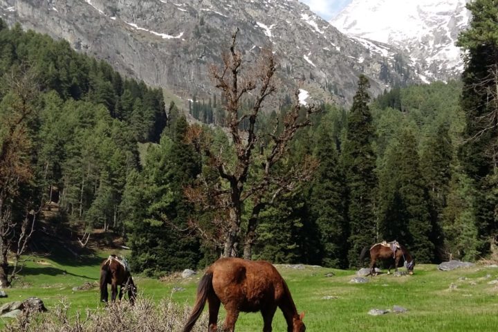 Berglandschaft in Aru, Pahalgam, Kaschmir, Indien