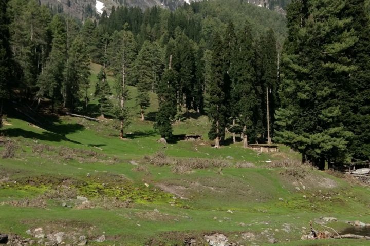 Berglandschaft in Aru, Pahalgam, Kaschmir, Indien