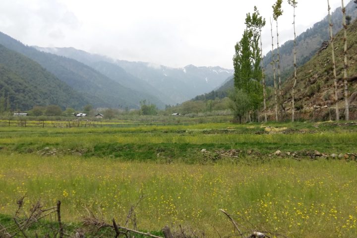 bei Pahalgam, Kaschmir, Indien