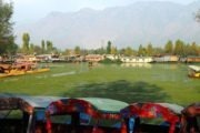 Shikara Boote auf dem Dal Lake in Srinagar, Indien, Kaschmir
