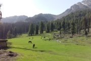 Berglandschaft in Aru, Pahalgam, Kaschmir, Indien