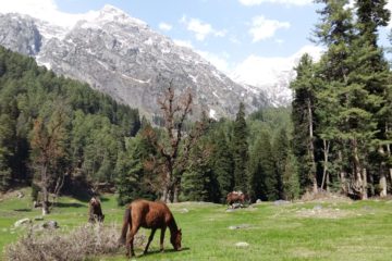 Berglandschaft in Aru, Pahalgam, Kaschmir, Indien