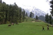 Kaschmir Rundreise - Berglandschaft in Aru, Pahalgam, Kaschmir, Indien