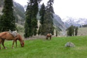 Berglandschaft in Aru, Pahalgam, Kaschmir, Indien