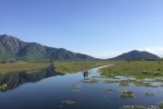 Boot auf dem Dal Lake in Srinagar, Indien, Kaschmir, im Hintergrund Berge