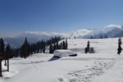 Schi fahren in Gulmarg, Kaschmir, Indien, Himalaya