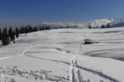 Schi fahren in Gulmarg, Kaschmir, Indien, Himalaya
