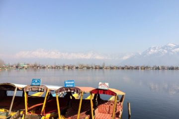 Shikara Boote auf dem Dal Lake in Srinagar, Kaschmir, Indien