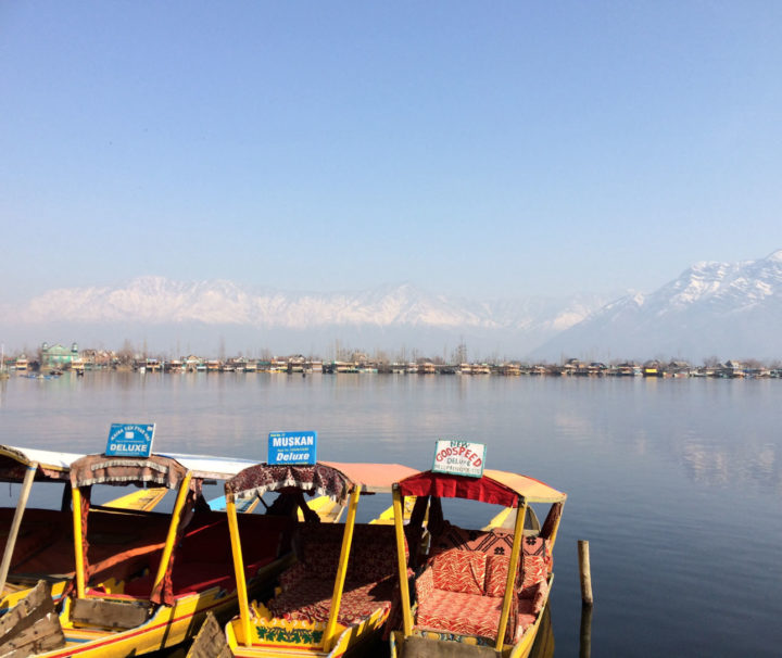 Shikara Boote auf dem Dal Lake in Srinagar, Kaschmir, Indien