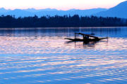 Shikara Boot auf dem Dal Lake in Srinagar, Indien, Kaschmir