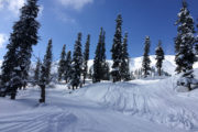 Schnee in Gulmarg Kaschmir Indien