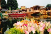 Hausboote auf dem Dalsee in Srinagar, in Indiens Kaschmir