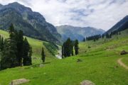 Urlaub in Indien - Lidderwat Trek in Aru Valley Pahalgam, Kaschmir