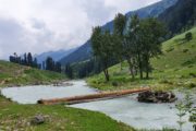 Urlaub in Indien - Lidderwat Trek in Aru Valley Pahalgam, Kaschmir