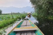 Wandern Indien - Boote auf dem Dal Lake in Srinagar, Kaschmir