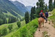 Wandern Indien - Lidderwat Trek in Aru Valley Pahalgam, Kaschmir