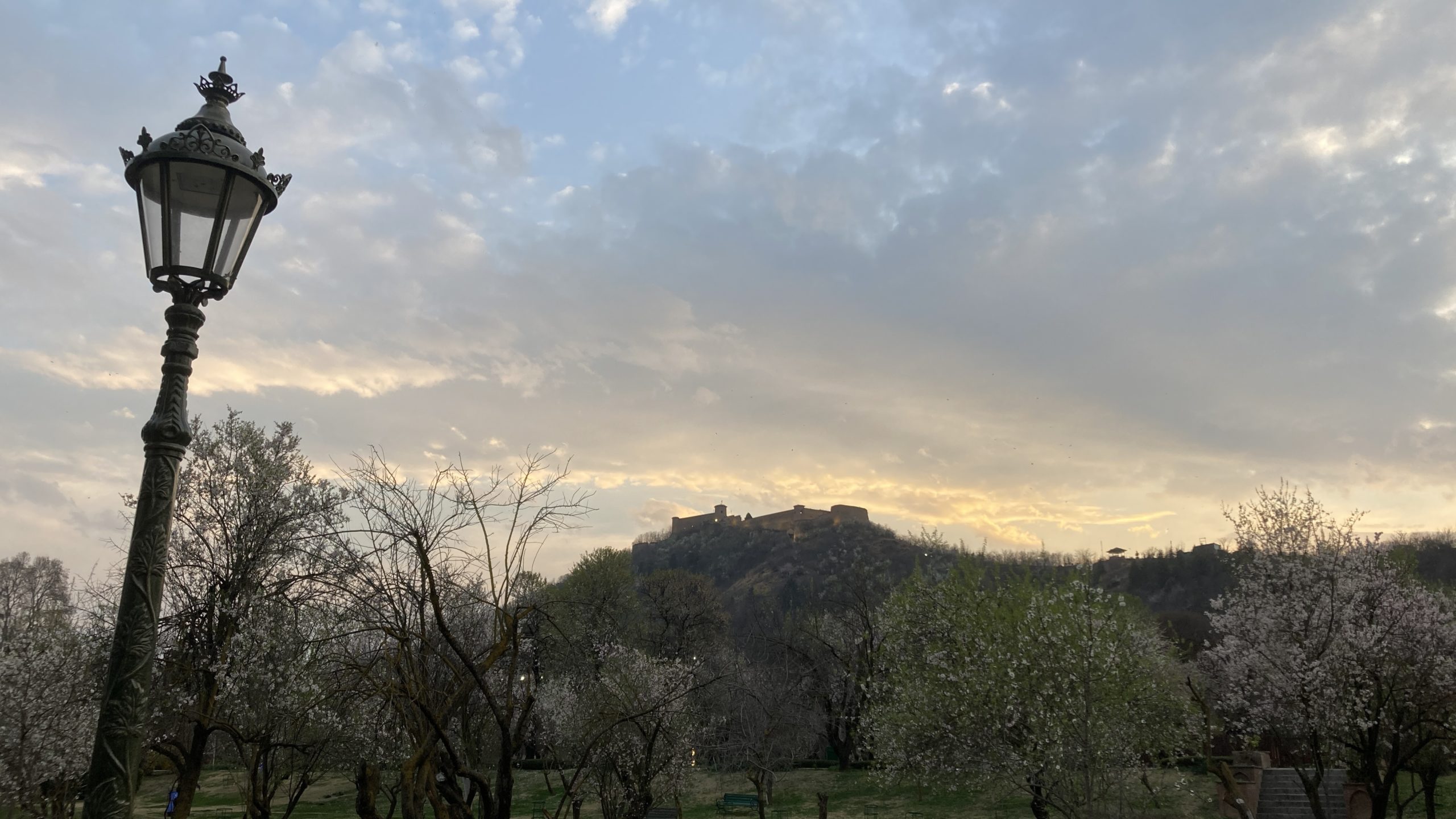 Ihr Experte vor Ort für Ihre Kaschmir Reise